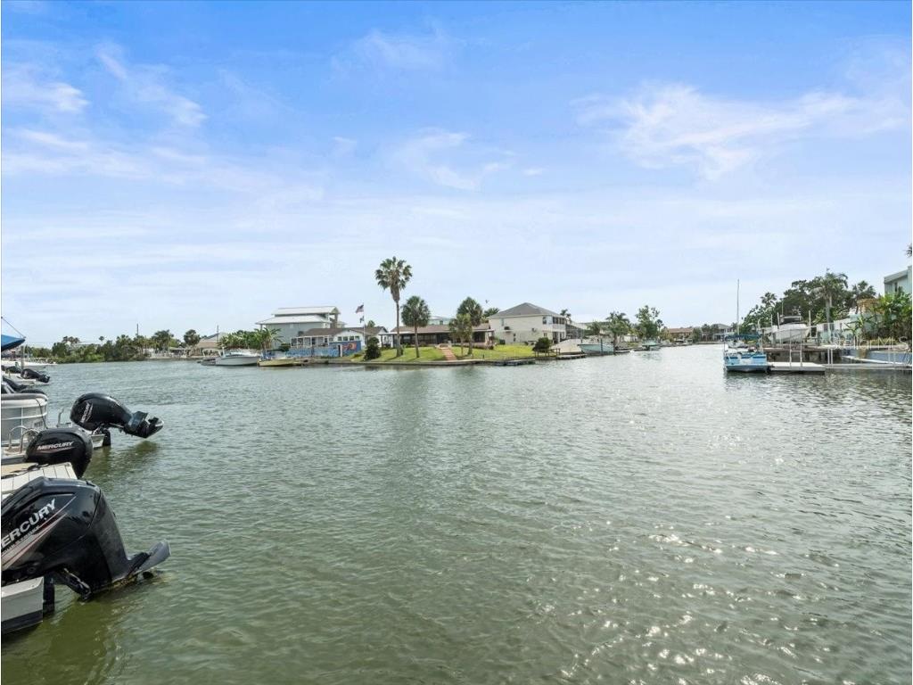 4291 Shoal Line Boulevard #102 Spring Hill FL 34607 - SNAPPER-TARPON-GULF W7876240 image87