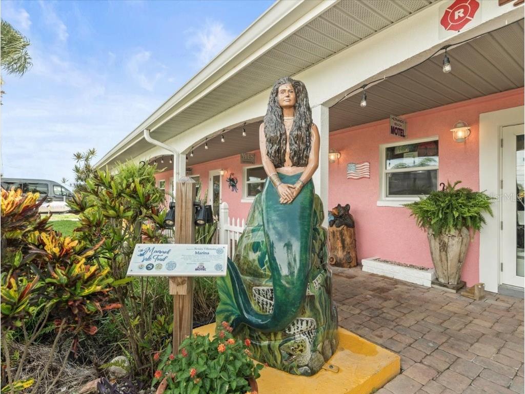 4291 Shoal Line Boulevard #102 Spring Hill FL 34607 - SNAPPER-TARPON-GULF W7876240 image9