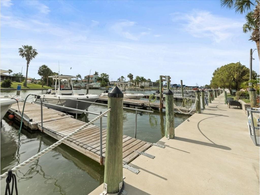 4291 Shoal Line Boulevard #102 Spring Hill FL 34607 - SNAPPER-TARPON-GULF W7876240 image93