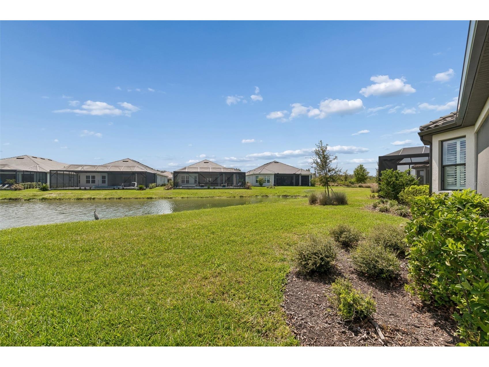 4292 Graticola Road Wesley Chapel FL 33543 TB8490981 image53