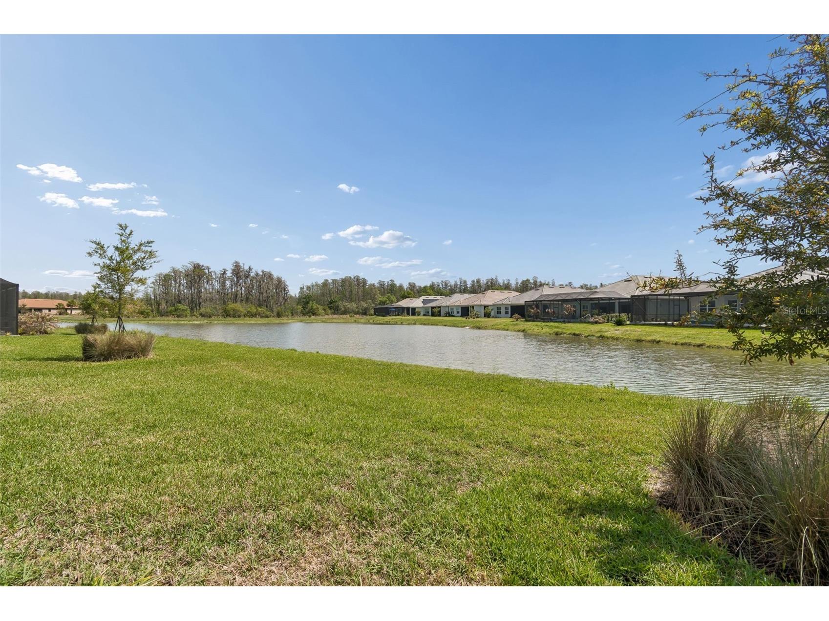4292 Graticola Road Wesley Chapel FL 33543 TB8490981 image57