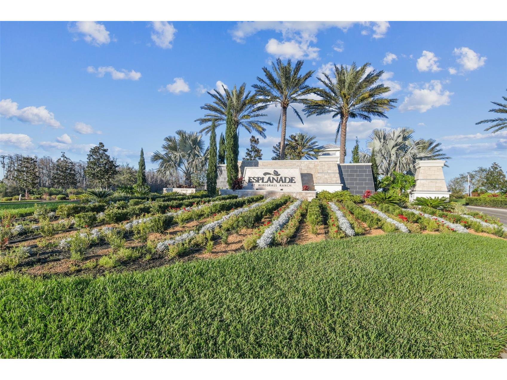 4292 Graticola Road Wesley Chapel FL 33543 TB8490981 image98