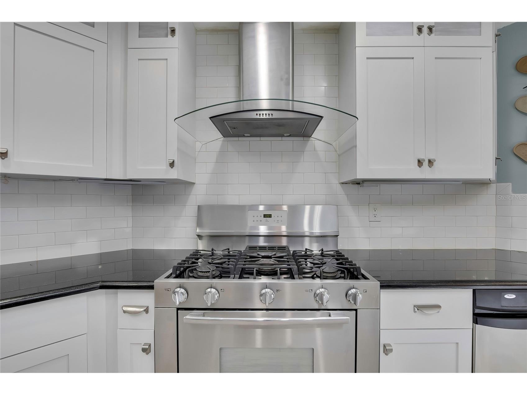 4293 River Birch Drive Spring Hill FL 34607 W7886801 image11