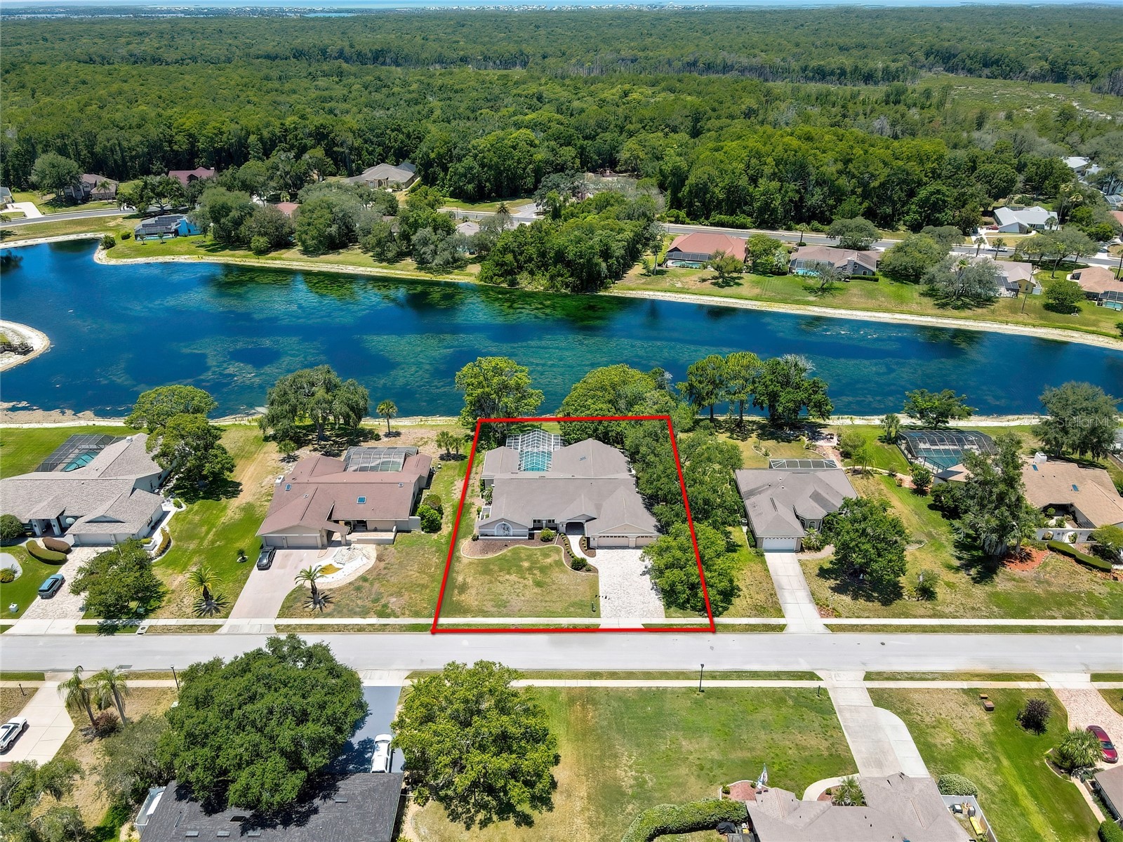 4293 River Birch Drive Spring Hill FL 34607 W7886801 image3