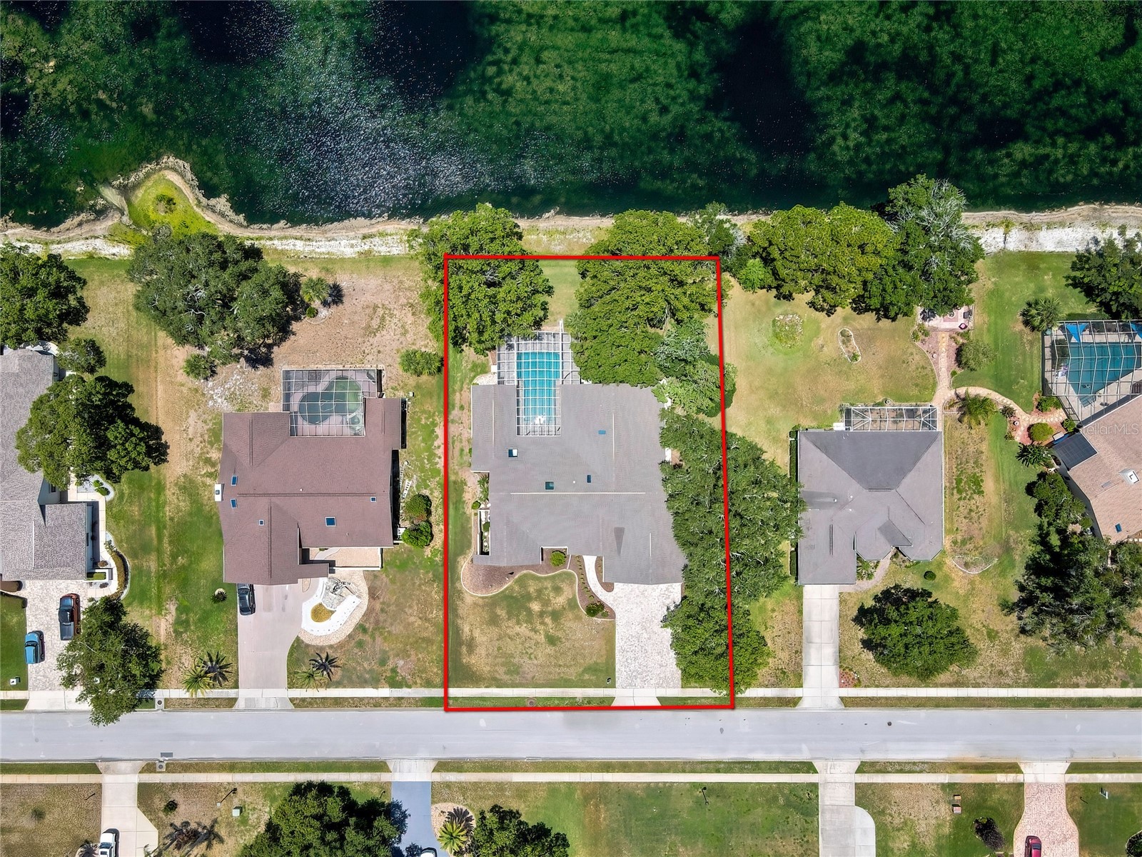4293 River Birch Drive Spring Hill FL 34607 W7886801 image4