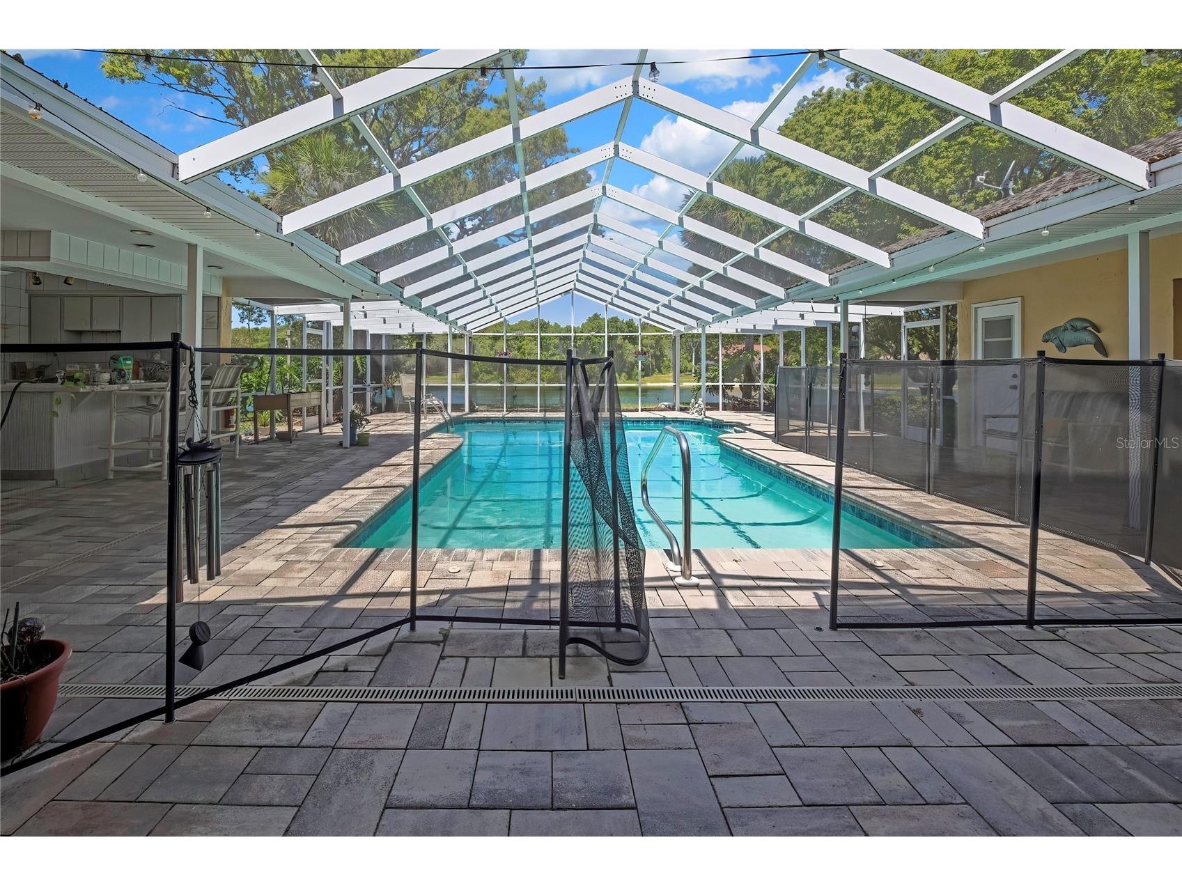 4293 River Birch Drive Spring Hill FL 34607 W7886801 image54