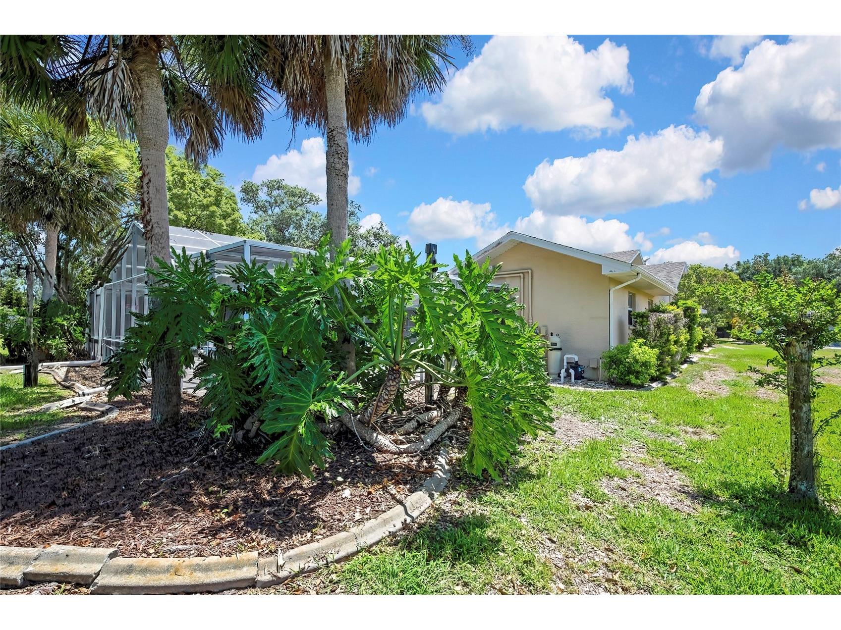 4293 River Birch Drive Spring Hill FL 34607 W7886801 image60