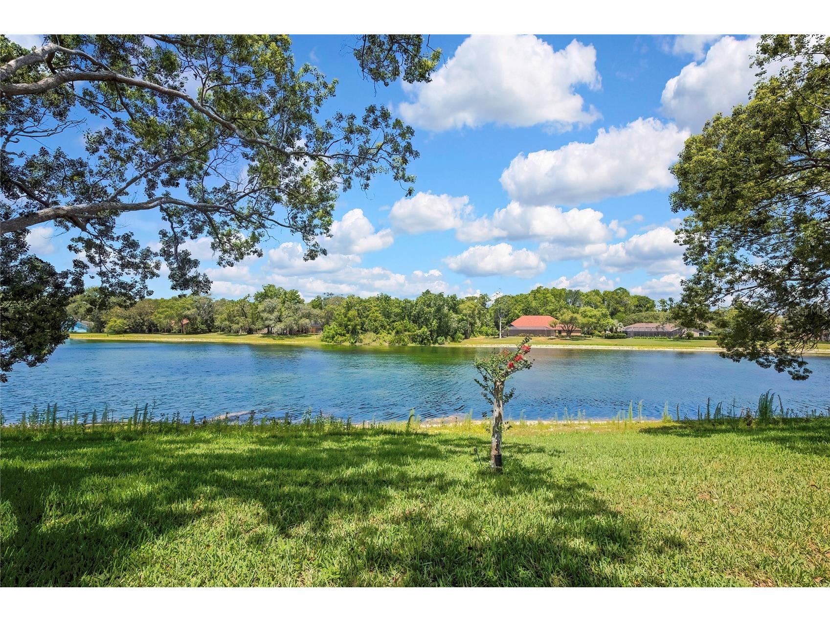 4293 River Birch Drive Spring Hill FL 34607 W7886801 image62