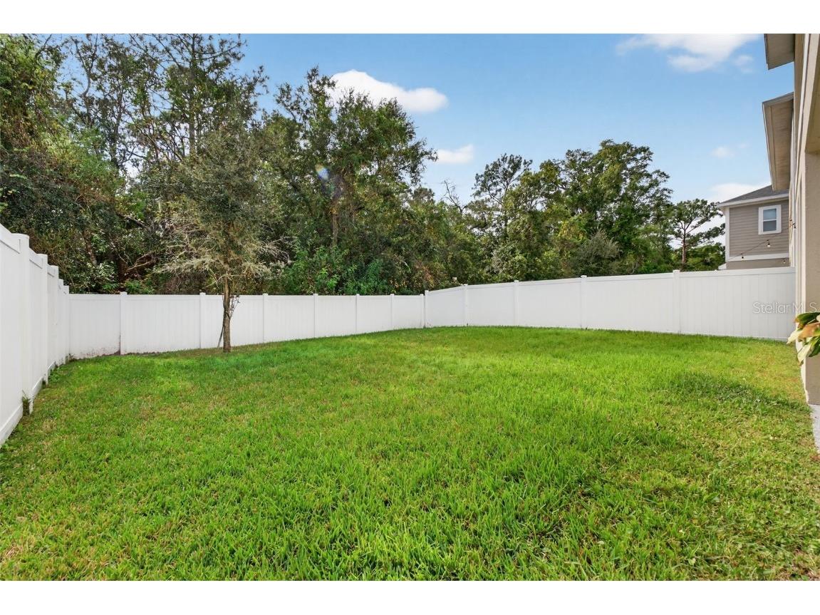 4294 Hibiscus Bloom Drive Orlando FL 32822 O6364741 image82