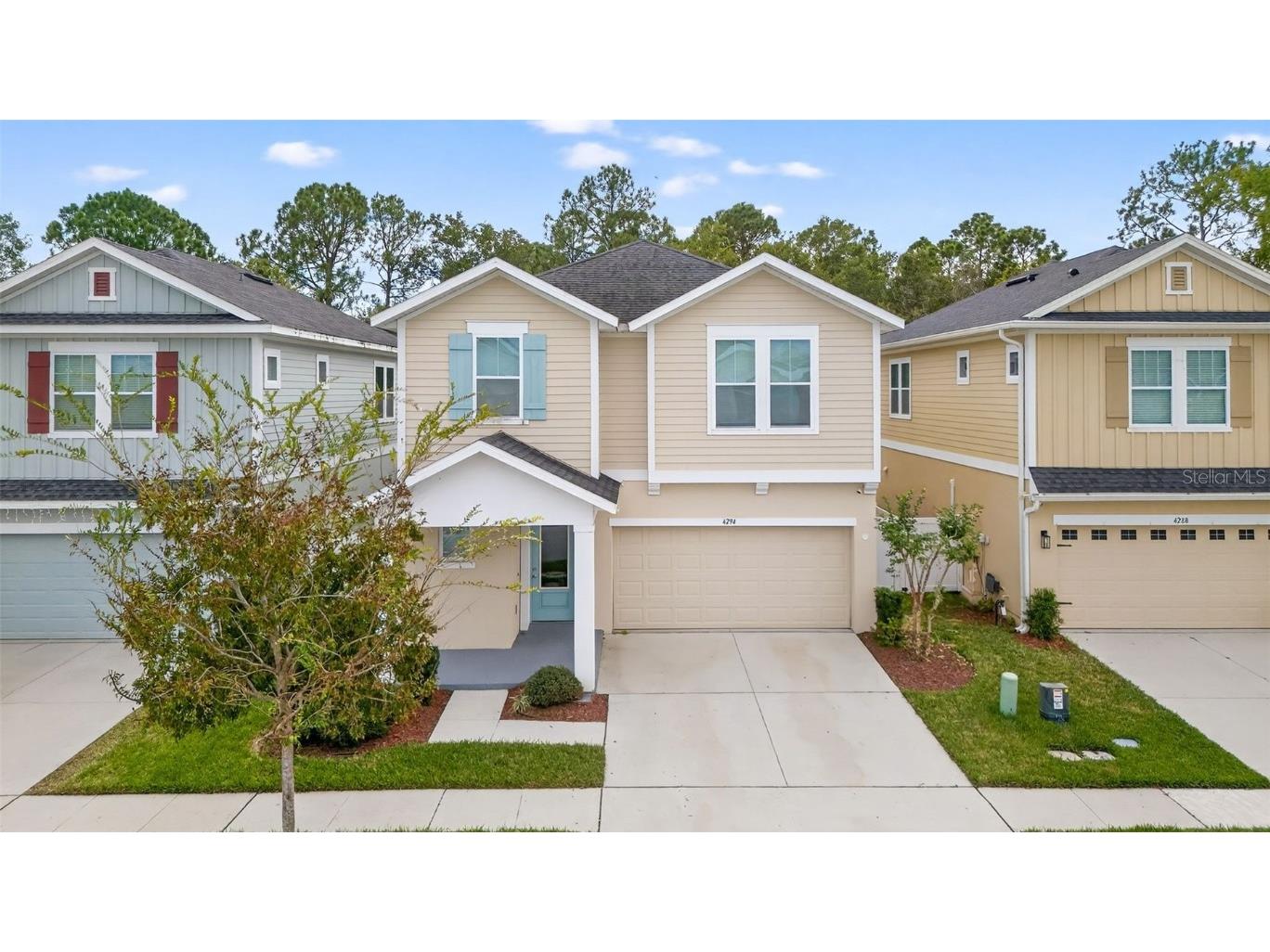4294 Hibiscus Bloom Drive Orlando FL 32822 O6364741 image87