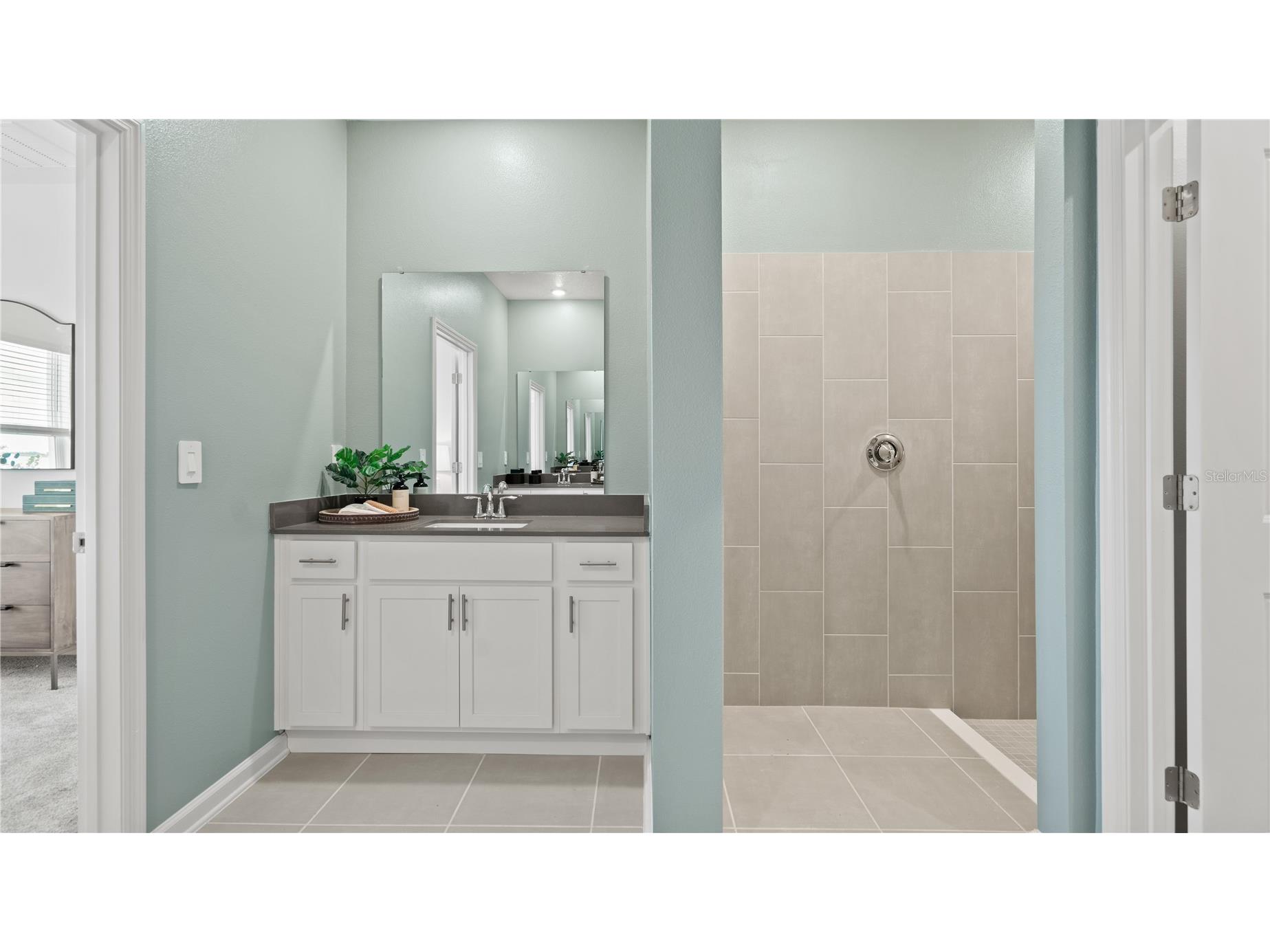 4294 St Thomas Way Kissimmee FL 34758 O6415362 image9