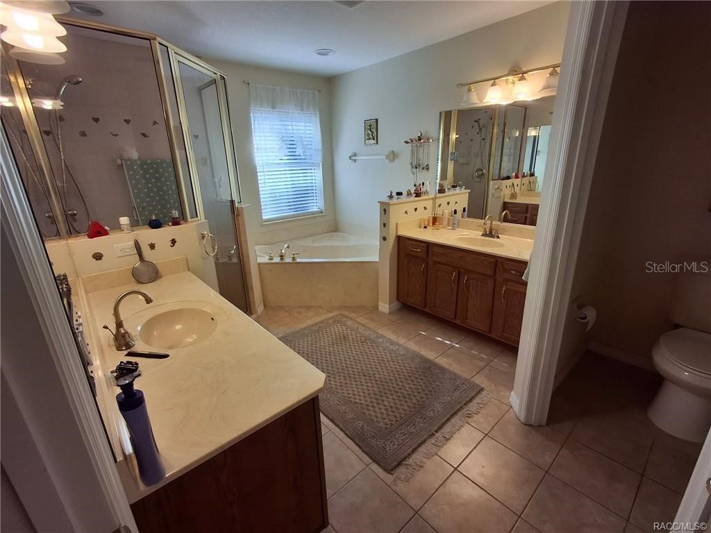 4295 N Bridger Drive Beverly Hills FL 34465 TB8465431 image24