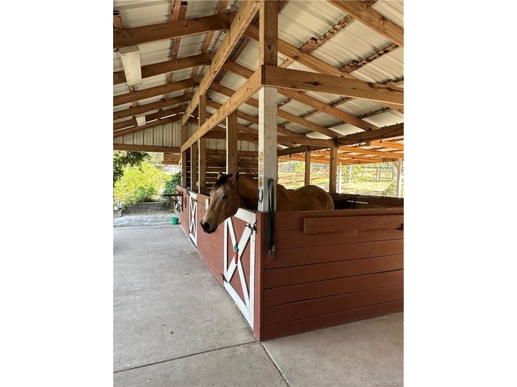 4295 N Bridger Drive Beverly Hills FL 34465 TB8465431 image37