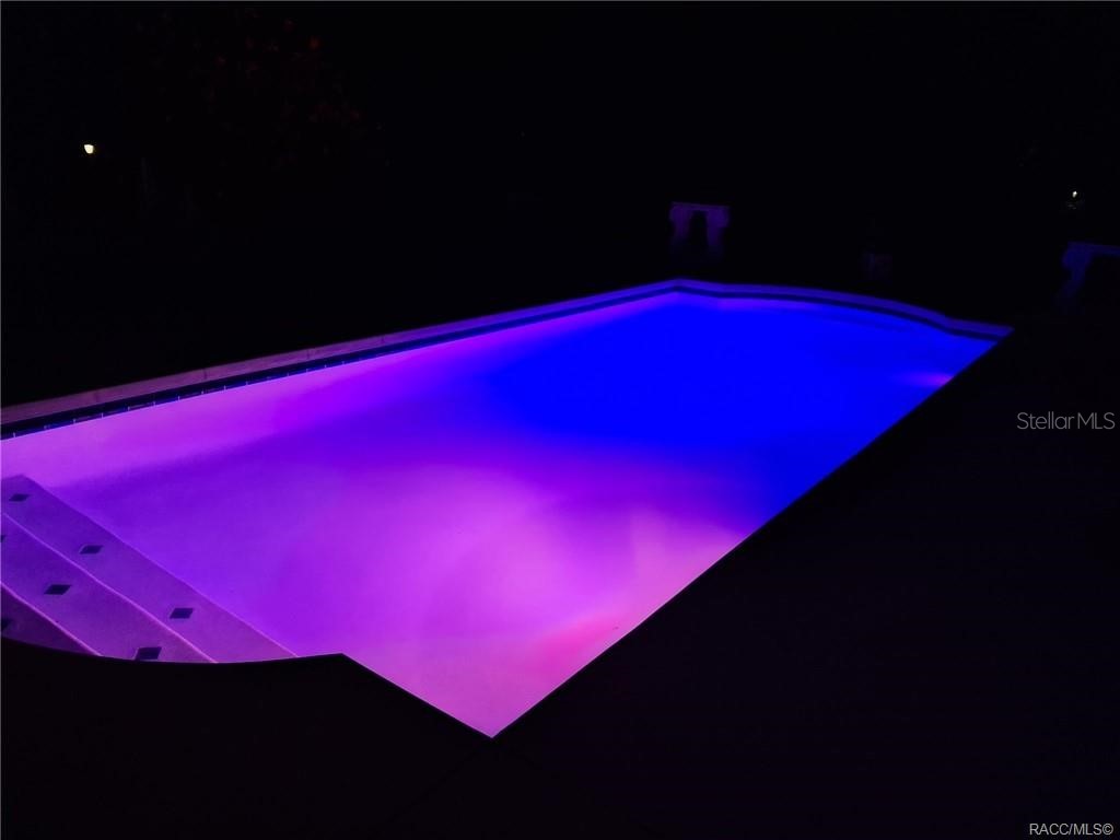 4295 N Bridger Drive Beverly Hills FL 34465 TB8465431 image46