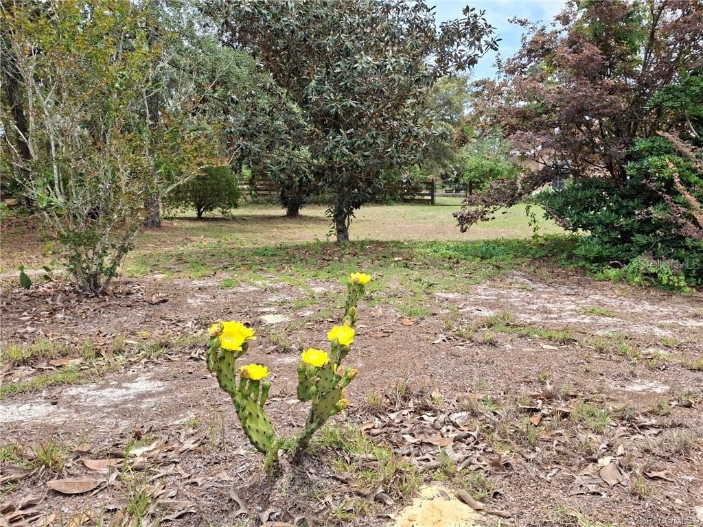 4295 N Bridger Drive Beverly Hills FL 34465 TB8465431 image50