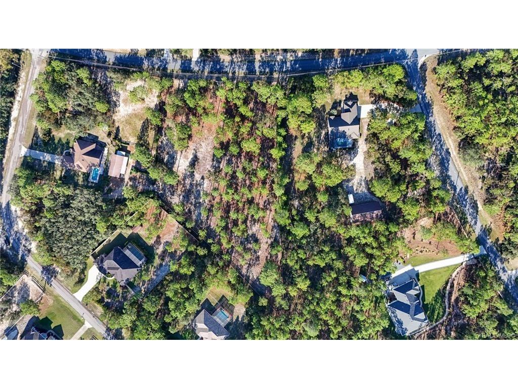 4295 N Bridger Drive Beverly Hills FL 34465 TB8465431 image59