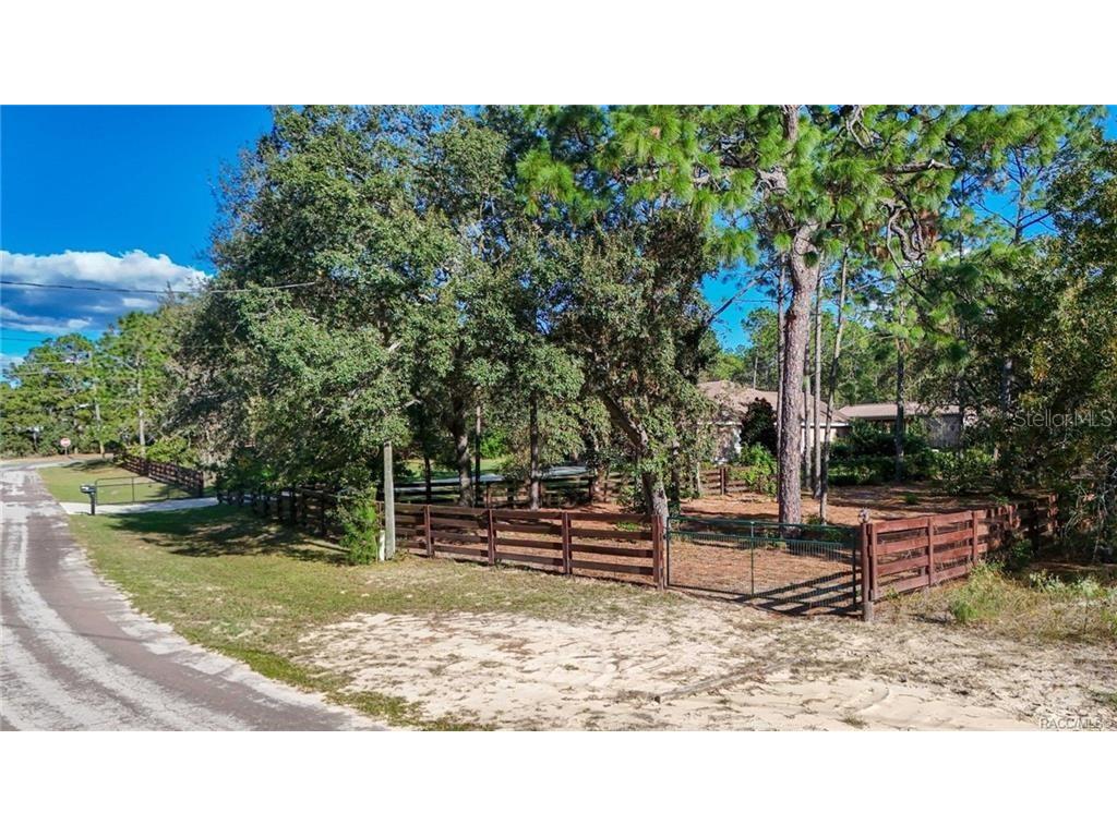 4295 N Bridger Drive Beverly Hills FL 34465 TB8465431 image60