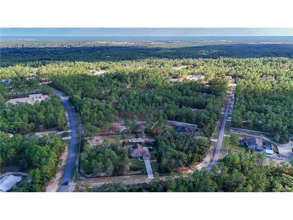 4295 N Bridger Drive Beverly Hills FL 34465 TB8465431 image68