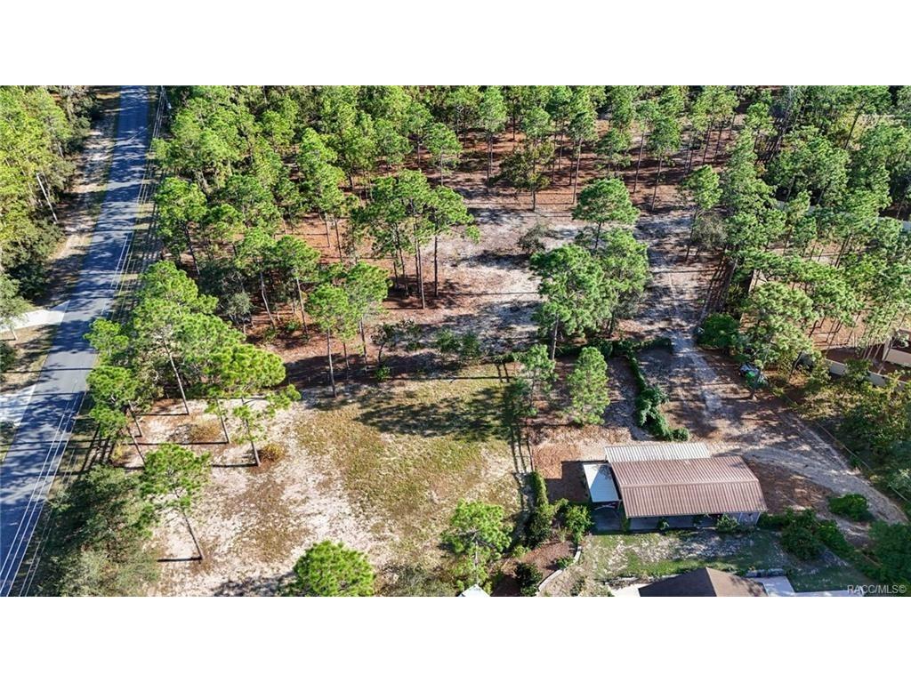 4295 N Bridger Drive Beverly Hills FL 34465 TB8465431 image70