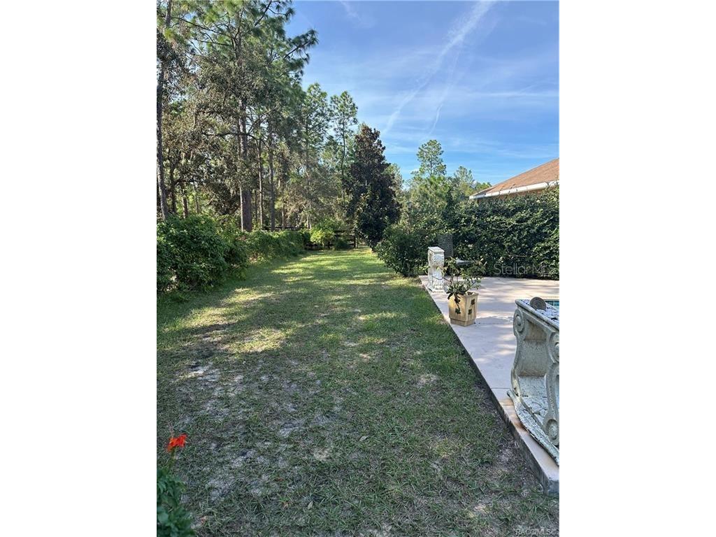 4295 N Bridger Drive Beverly Hills FL 34465 TB8465431 image72