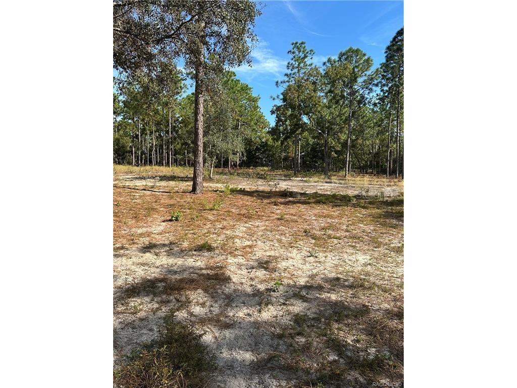 4295 N Bridger Drive Beverly Hills FL 34465 TB8465431 image73