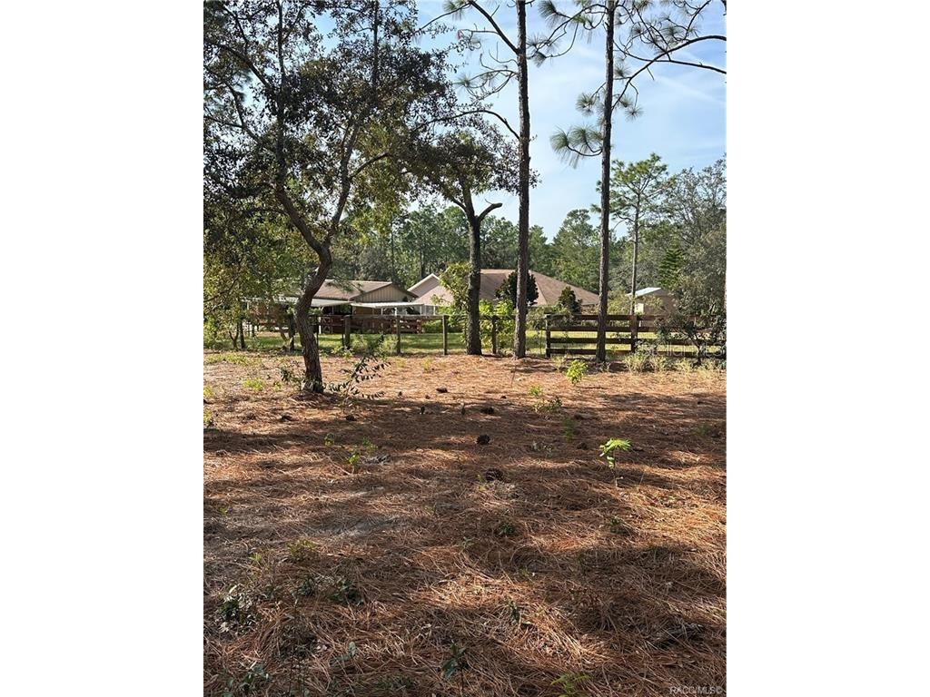 4295 N Bridger Drive Beverly Hills FL 34465 TB8465431 image74