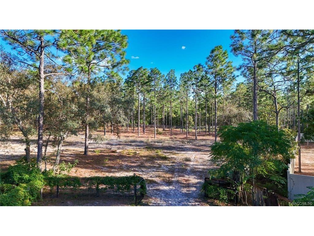 4295 N Bridger Drive Beverly Hills FL 34465 TB8465431 image77