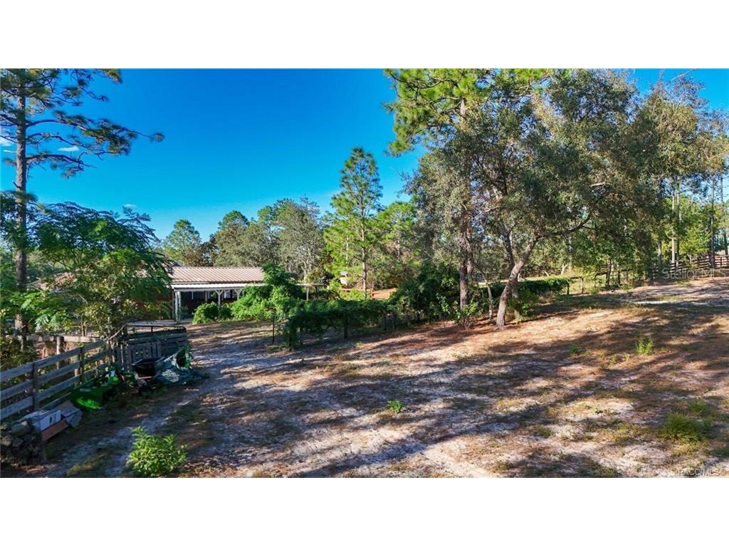 4295 N Bridger Drive Beverly Hills FL 34465 TB8465431 image78