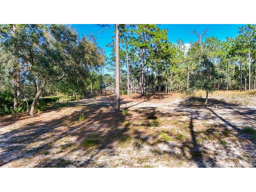 4295 N Bridger Drive Beverly Hills FL 34465 TB8465431 image79