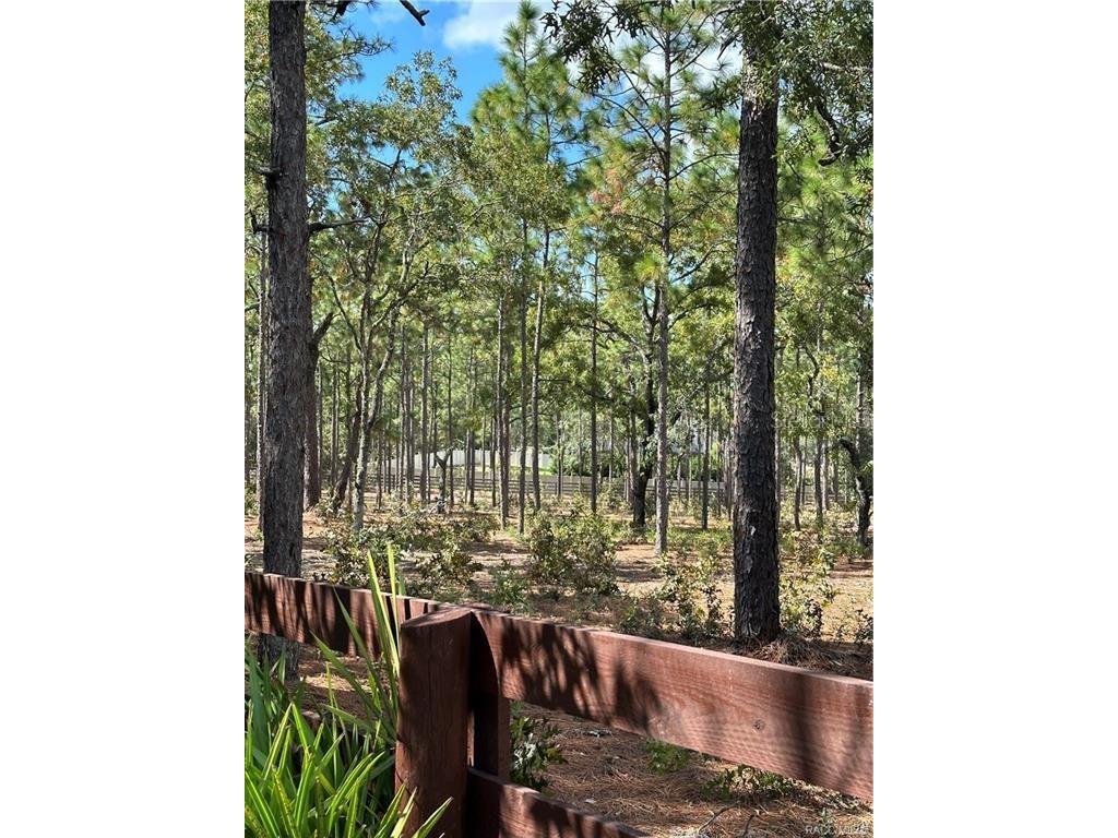 4295 N Bridger Drive Beverly Hills FL 34465 TB8465431 image82