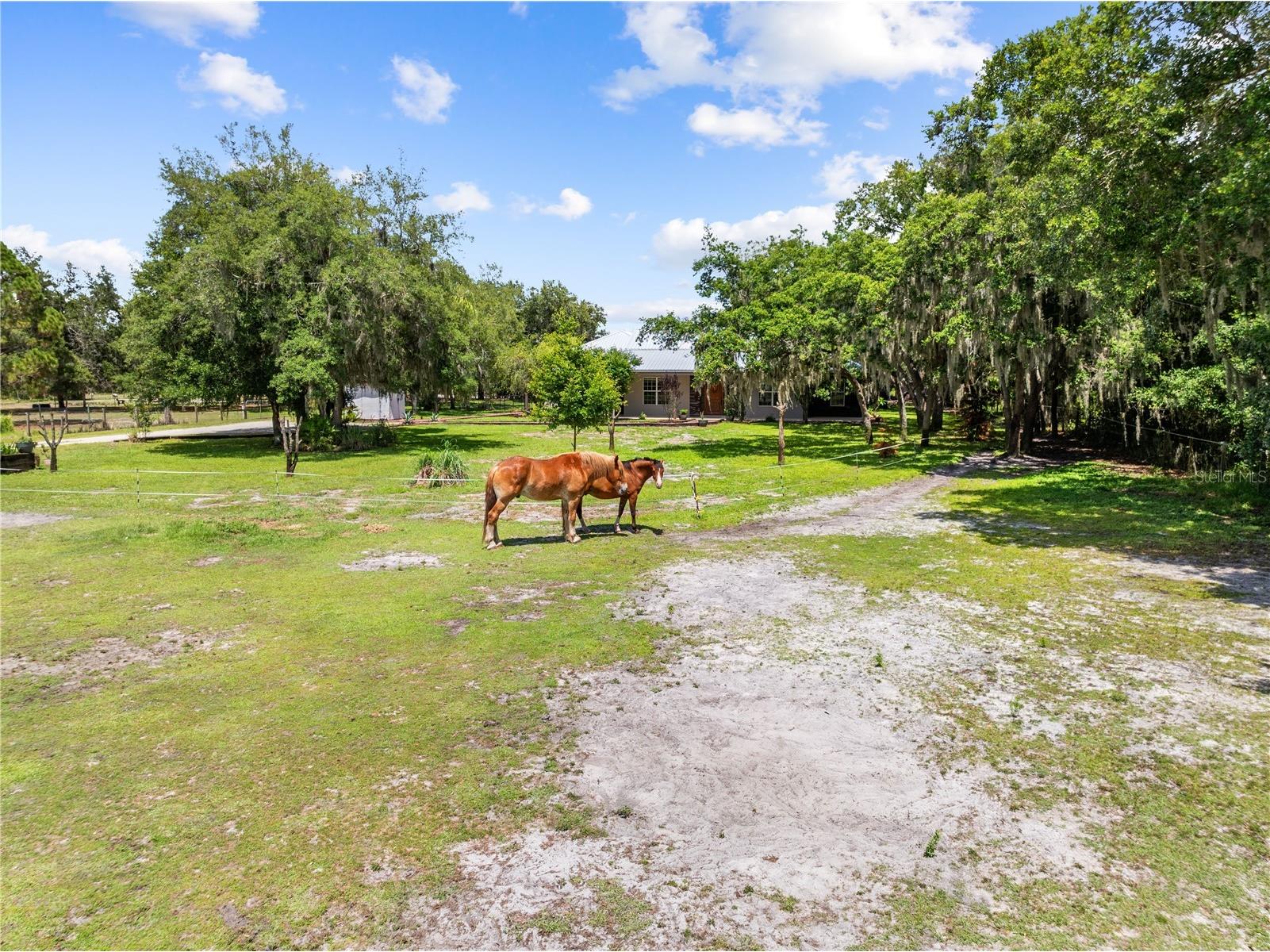 4295 Rambler Ave Saint Cloud FL 34772 S5150844 image96