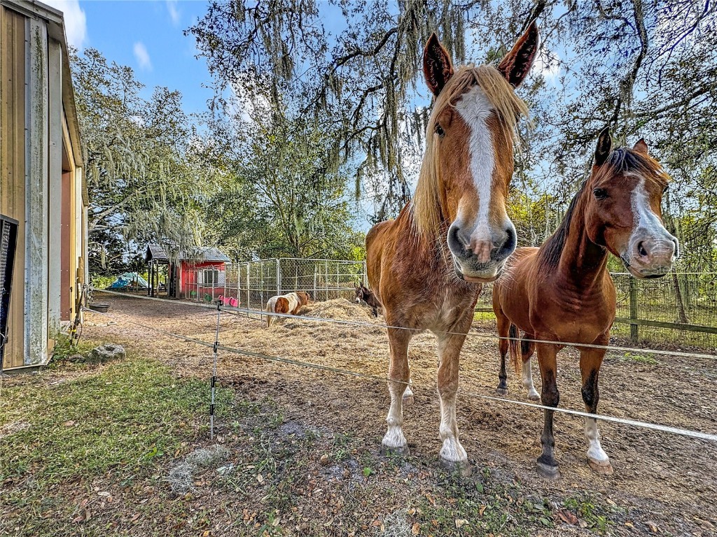 4295 Rambler Avenue Saint Cloud FL 34772 S5141033 image54