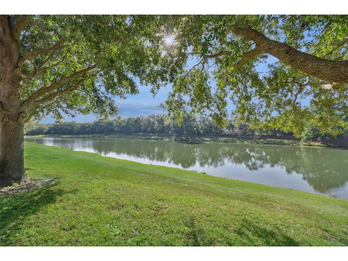 4297 Regal Town Lane Lake Mary FL 32746 O6359686 image42