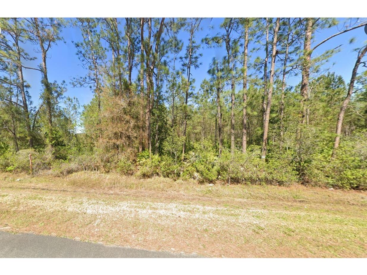 4297 W Highway 100 Bunnell FL 32110 FC319305 image1