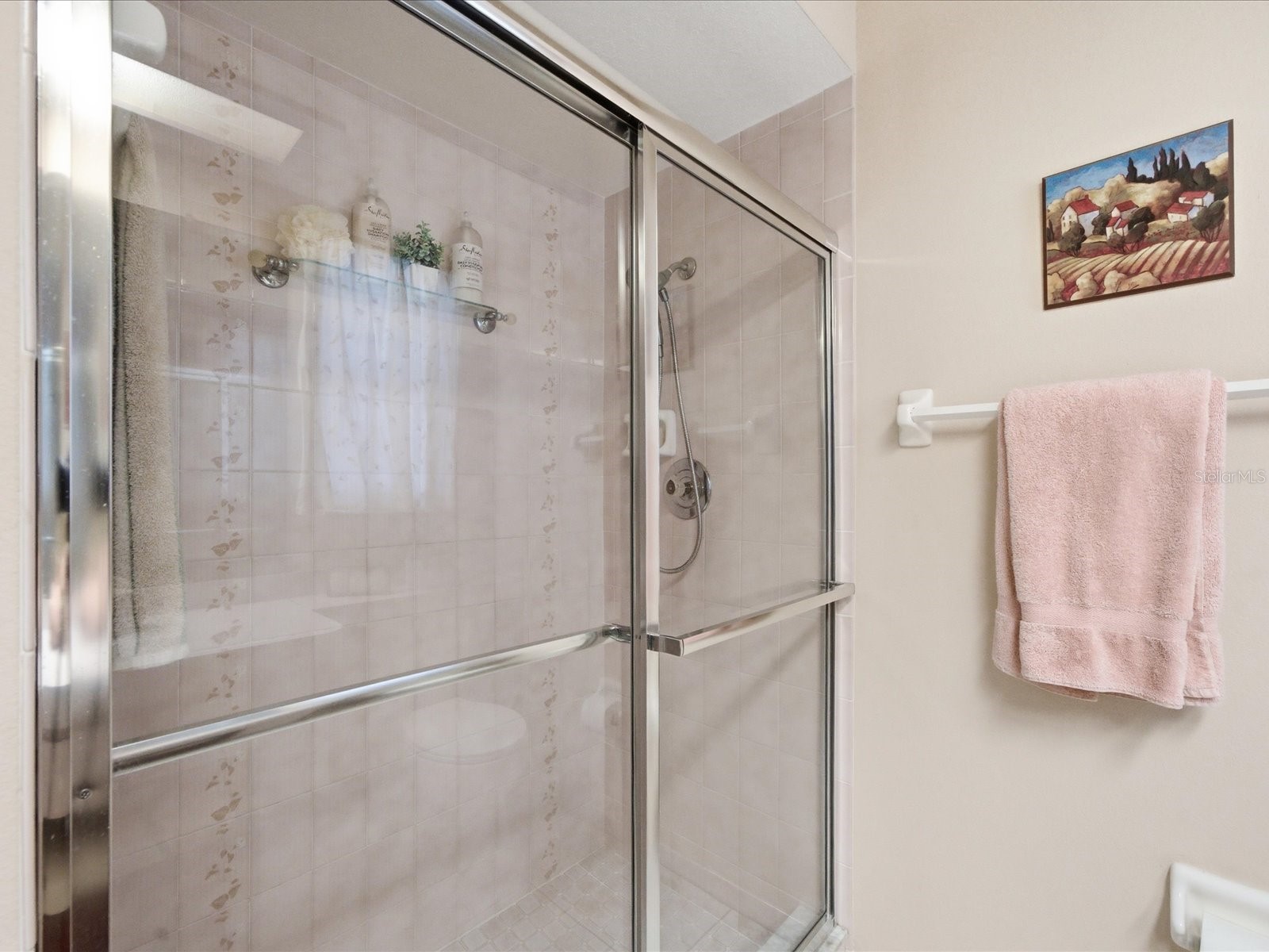 4298 Craigdarragh Avenue Spring Hill FL 34606 TB8487601 image35