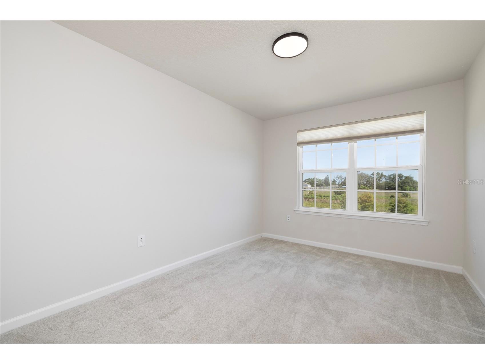 4298 Harbour Palm Drive Holiday FL 34691 TB8530575 image25
