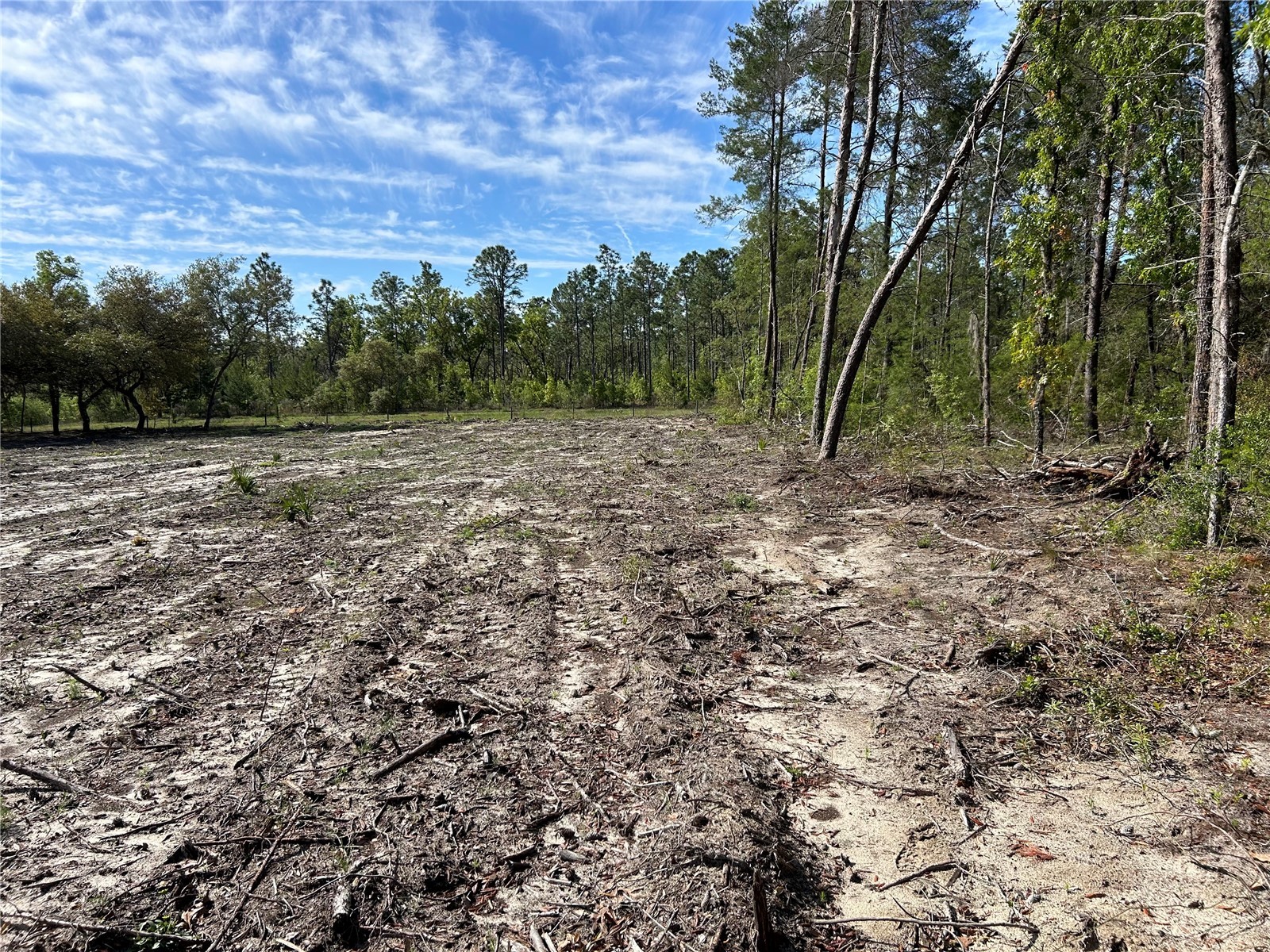 4298 SW 179 Place Ocala FL 34473 GC533472 image3