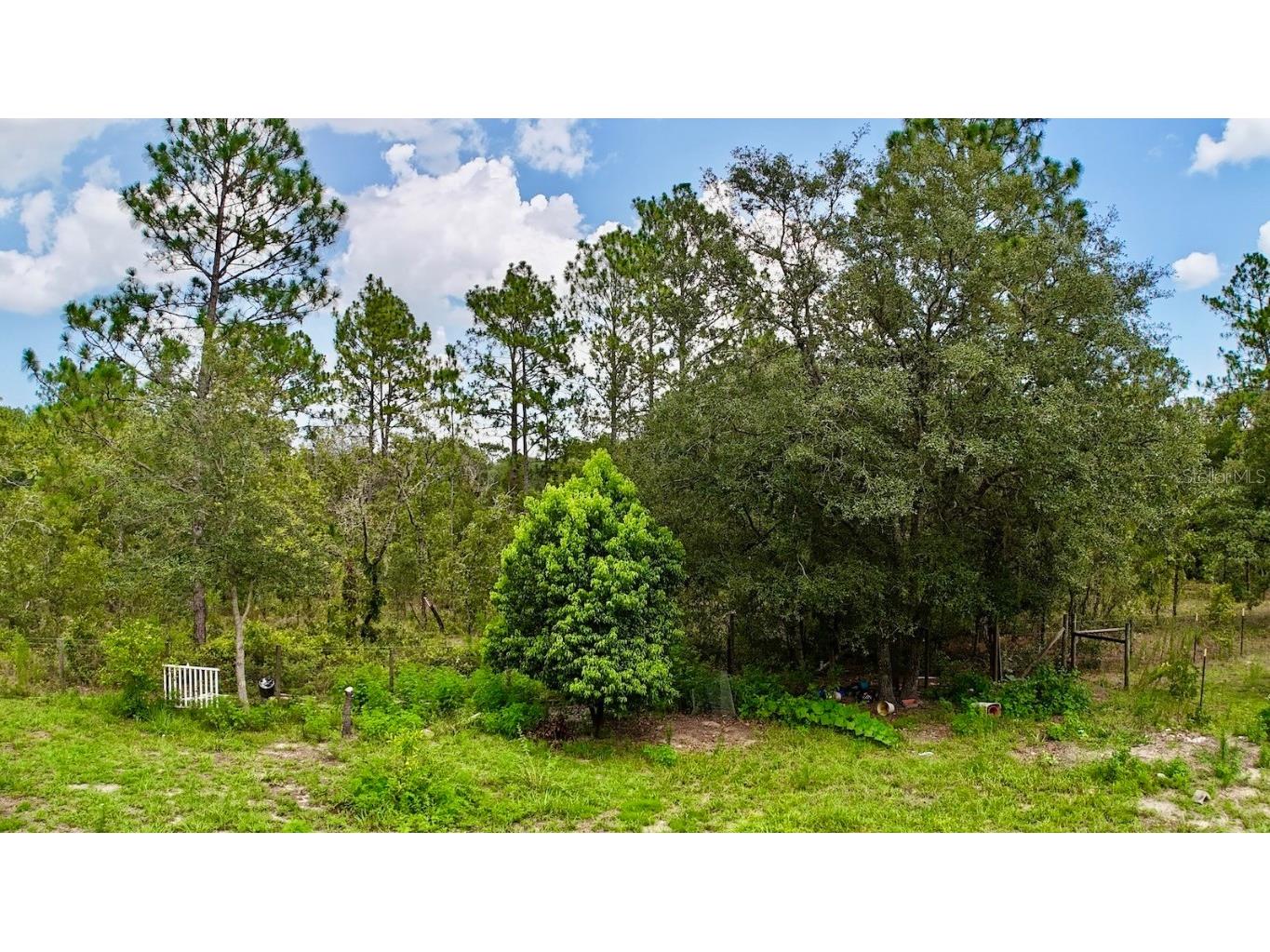 4299 SW 190th Court Dunnellon FL 34432 OM705210 image21