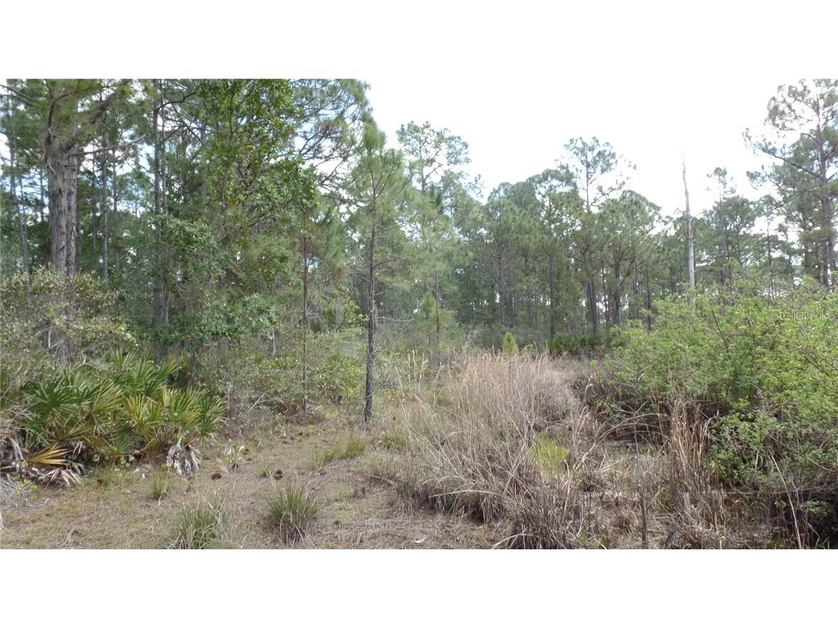 43 & 47 Fyfe Avenue Debary FL 32713 V4918078 image1