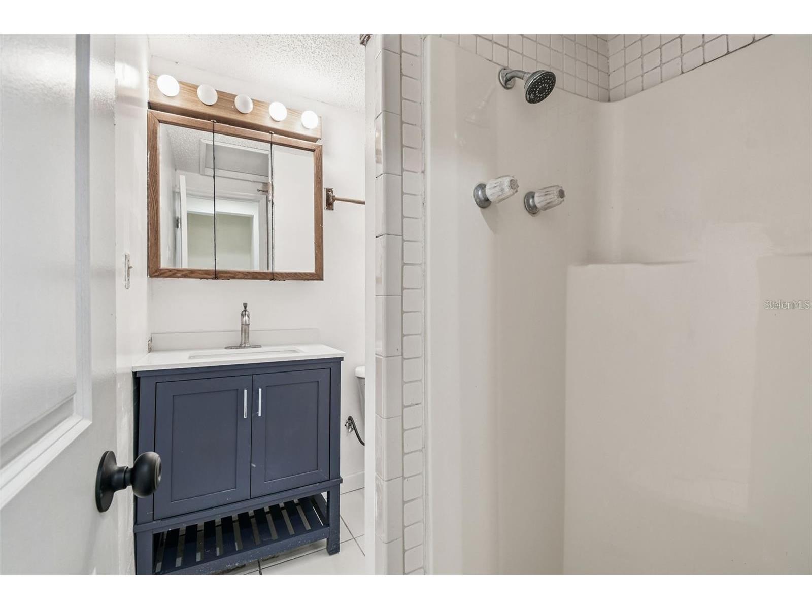 43 Aegean Avenue Tampa FL 33606 TB8484152 image51