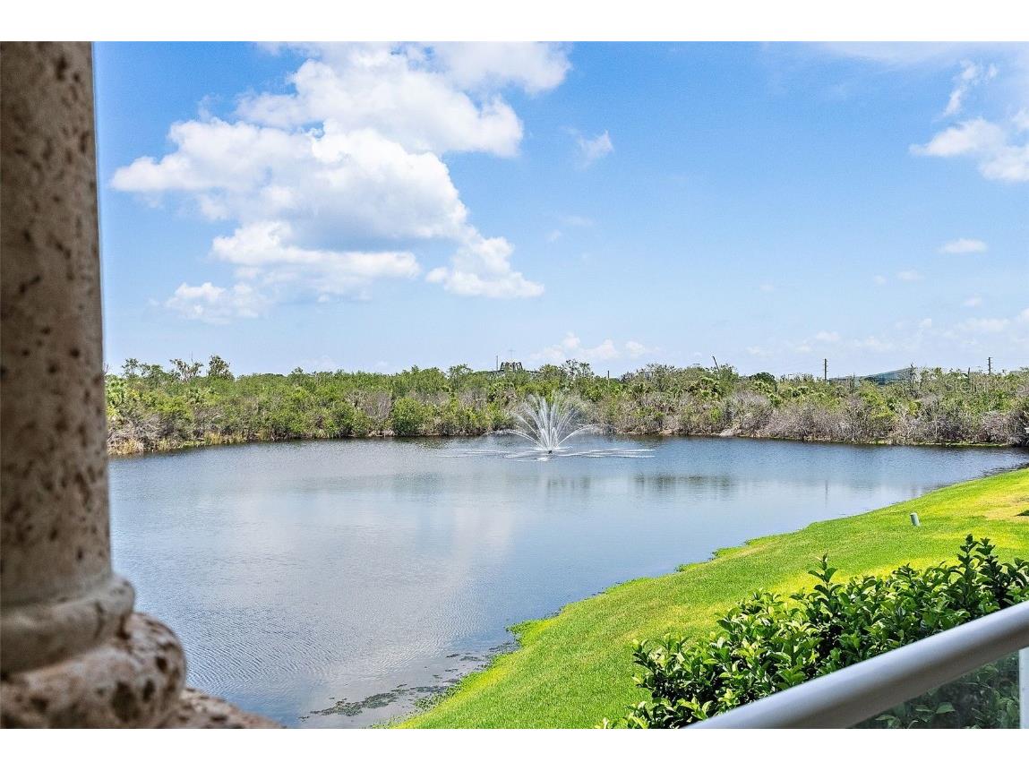 43 Bayview Court S #A Saint Petersburg FL 33711 TB8459380 image39