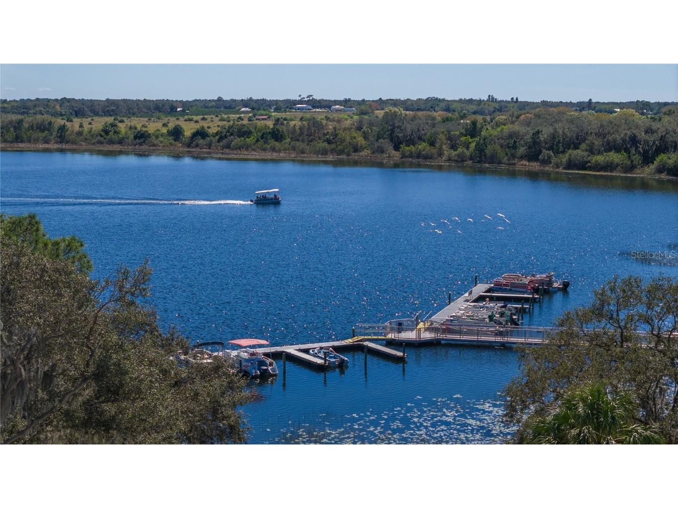 43 Beaverkill Drive Lake Wales FL 33853 - SADDLEBAG LAKE L4947674 image28