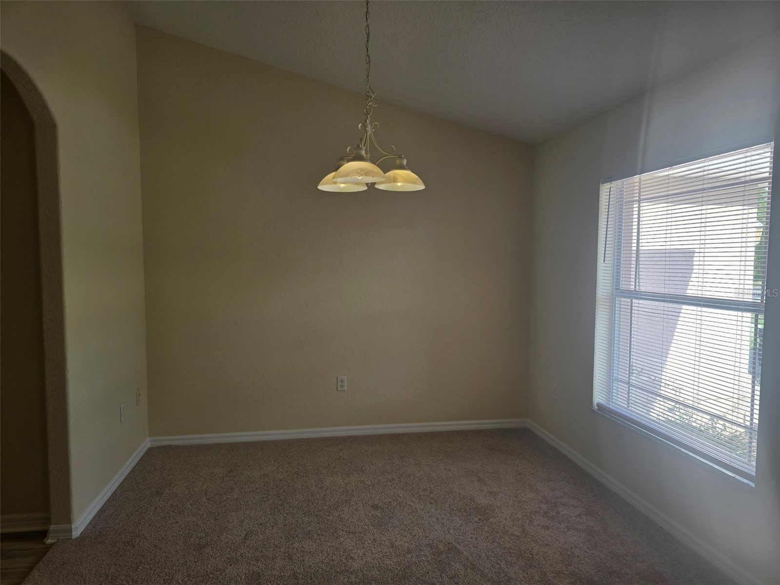 43 Matricaria Court Homosassa FL 34446 W7886201 image14