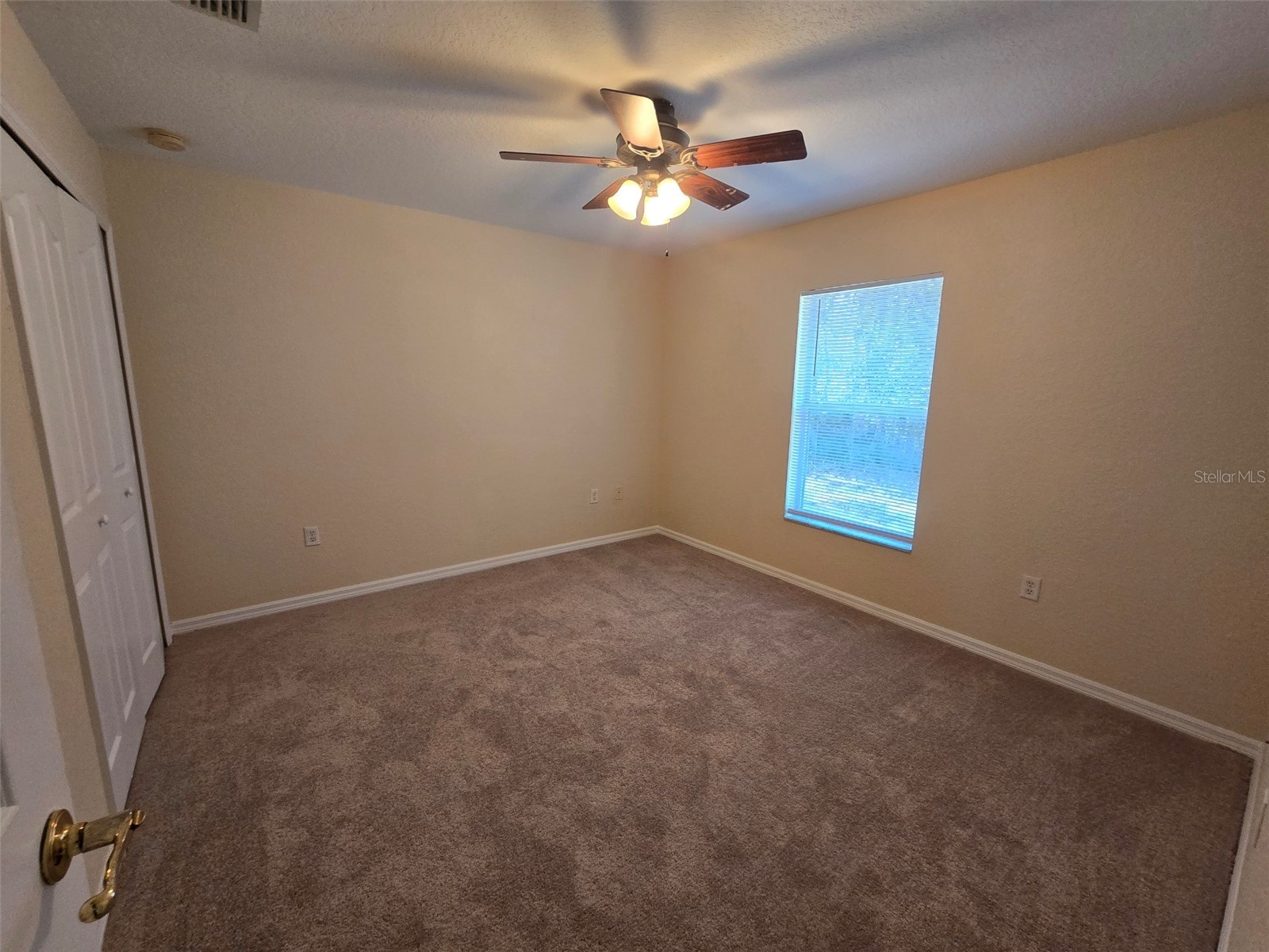 43 Matricaria Court Homosassa FL 34446 W7886201 image29