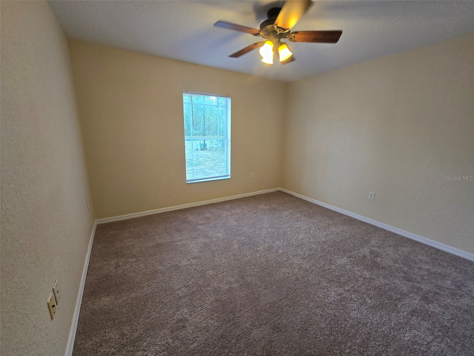 43 Matricaria Court Homosassa FL 34446 W7886201 image33