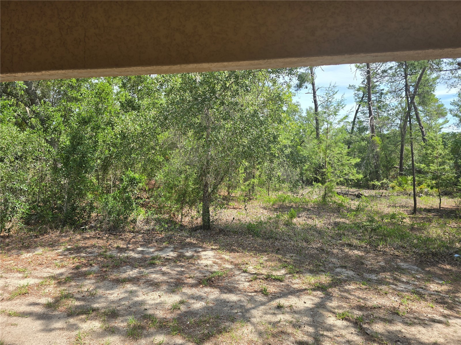 43 Matricaria Court Homosassa FL 34446 W7886201 image36