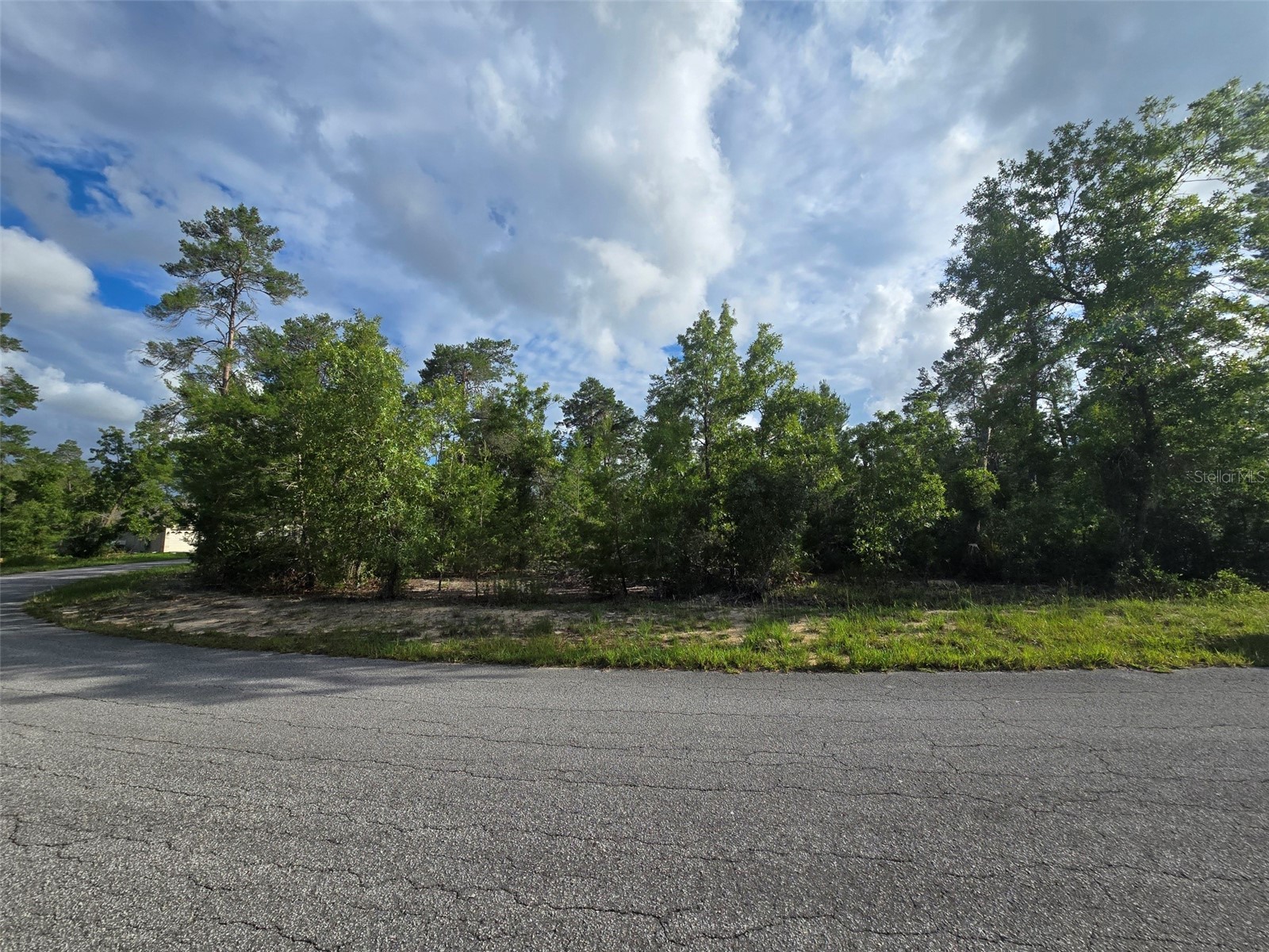 43 Matricaria Court Homosassa FL 34446 W7886201 image40