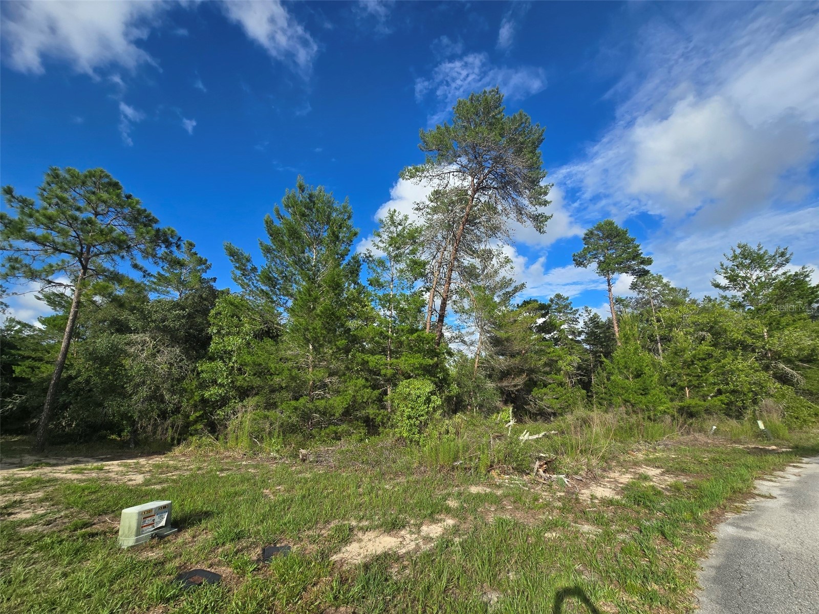 43 Matricaria Court Homosassa FL 34446 W7886201 image41