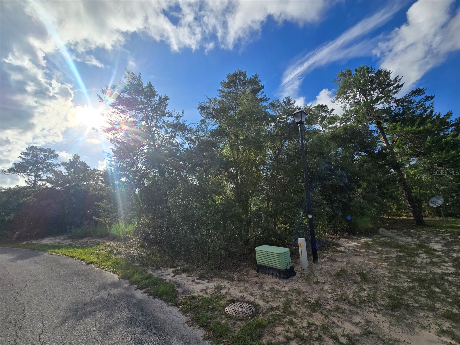 43 Matricaria Court Homosassa FL 34446 W7886201 image42