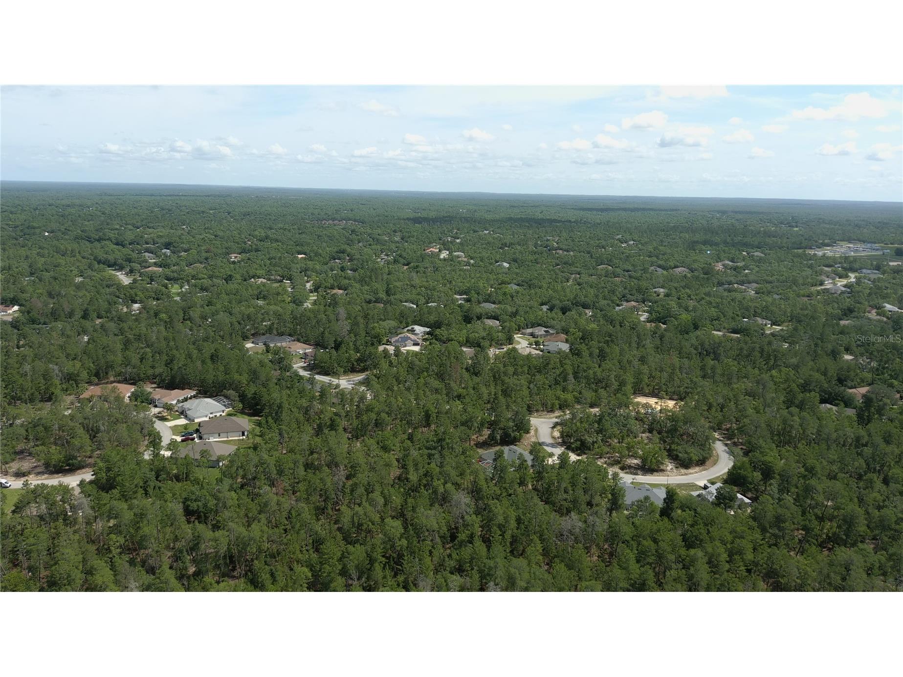 43 Matricaria Court Homosassa FL 34446 W7886201 image47